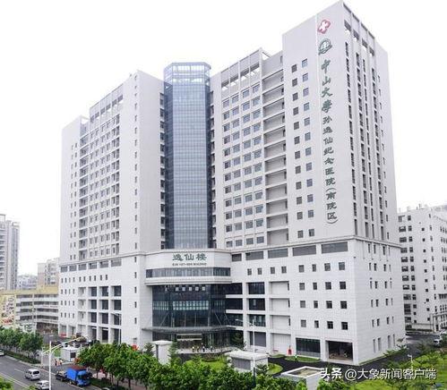 中山二院事件爆料最新,真相与反思交织的医学伦理风暴