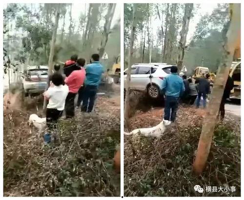 石塘镇最新爆料消息今天,揭秘神秘事件背后的真相！