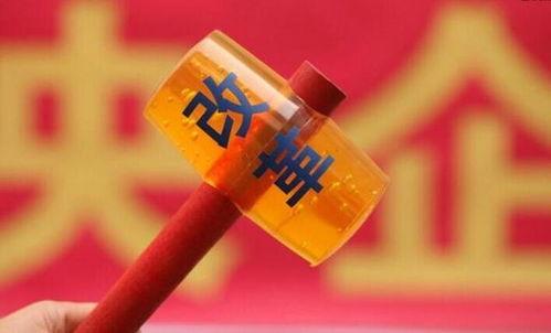 周日爆料最新消息新闻,最新热点新闻大揭秘