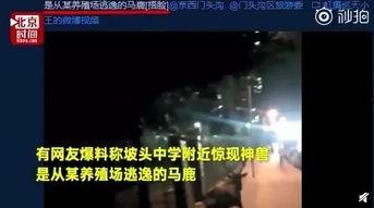 北京网友爆料最新,揭秘某热门商圈神秘事件！