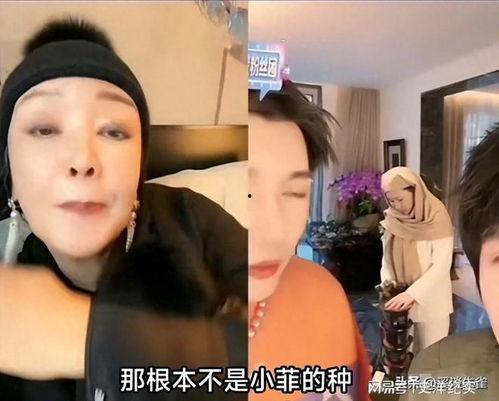 张兰直播爆料大s最新,最新动态引发热议  第3张