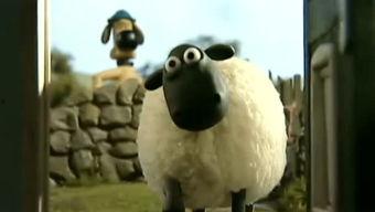 小羊最新爆料视频,幕后真相大曝光! 第3张 小羊最新爆料视频,幕后真相大曝光! 第3张