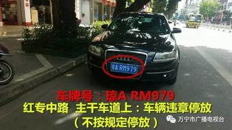 万宁座驾真实爆料视频最新,真实爆料视频曝光惊人细节