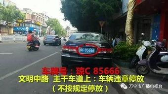 万宁座驾真实爆料视频最新,真实爆料视频曝光惊人细节 第3张 万宁座驾真实爆料视频最新,真实爆料视频曝光惊人细节 第3张