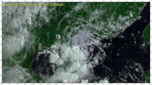 台风鹦鹉最新爆料,最新动态及防范措施全解析”  第3张