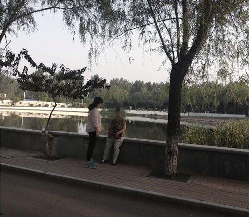 鲁山爆料最新消息今天,今日热点事件深度解析 第3张 鲁山爆料最新消息今天,今日热点事件深度解析 第3张